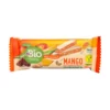 Fruit bar, mango, 40 g