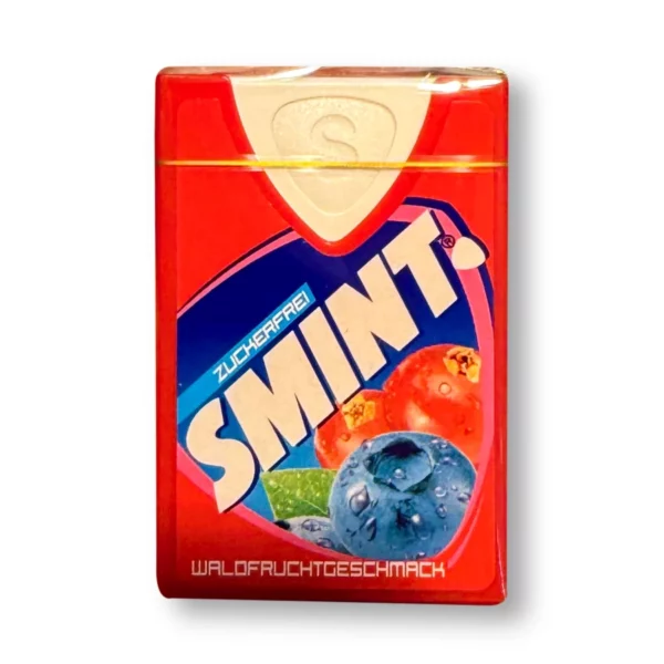 Pastilles, forest fruit, sugar-free, 40 pcs.