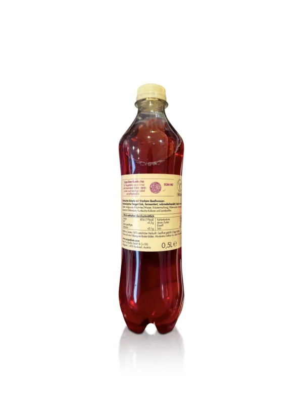 Teegetränk, Kombucha classic, Schorle, 0,5 l EINWEG