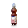 Juice & water apple-blackcurrant-elderberry, 330 ml ONE WAY