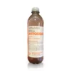 Erfrischungsgetränk, Antioxidant Pfirsich, 500 ml EINWEG Erfrischungsgetränk, Antioxidant Pfirsich, 500 ml EINWEG