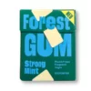 Kaugummi Strong Mint zuckerfrei, 20 g