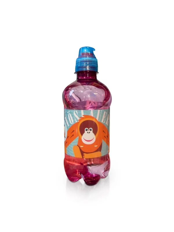 Natürliches Mineralwasser, Still, Junior, 0,33 l EINWEG