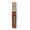 Power Shine Lip Gloss 210 Terracotta, 4 ml