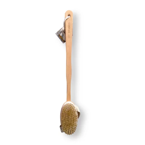 Bath brush with removable brush head, 1 pc