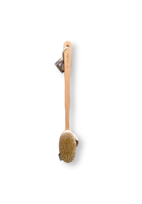 Bath brush with removable brush head, 1 pc